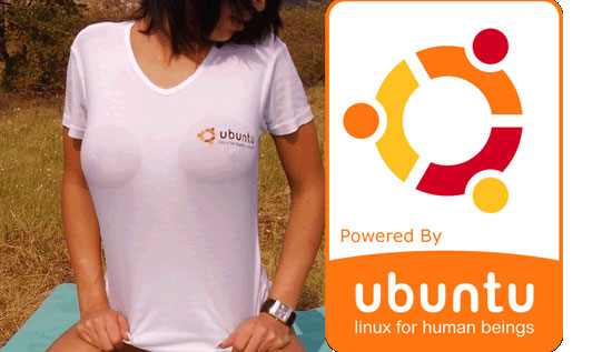 Linux Ubuntu 10.04 Beta ya disponible