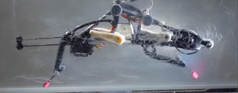 Espectacular robot bípedo que no utiliza electrónica de control